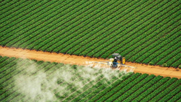 Trusted Slater, IA Pest Control Experts