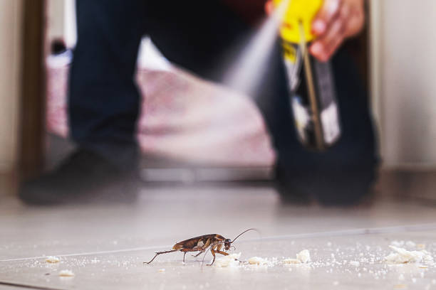 Best Residential Pest Control  in Slater, IA