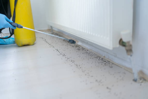 Best Commercial Pest Control Services  in Slater, IA