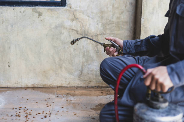 Best Best Pest Control Companies  in Slater, IA