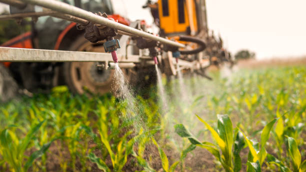 Best Best Pest Control Near Me  in Slater, IA
